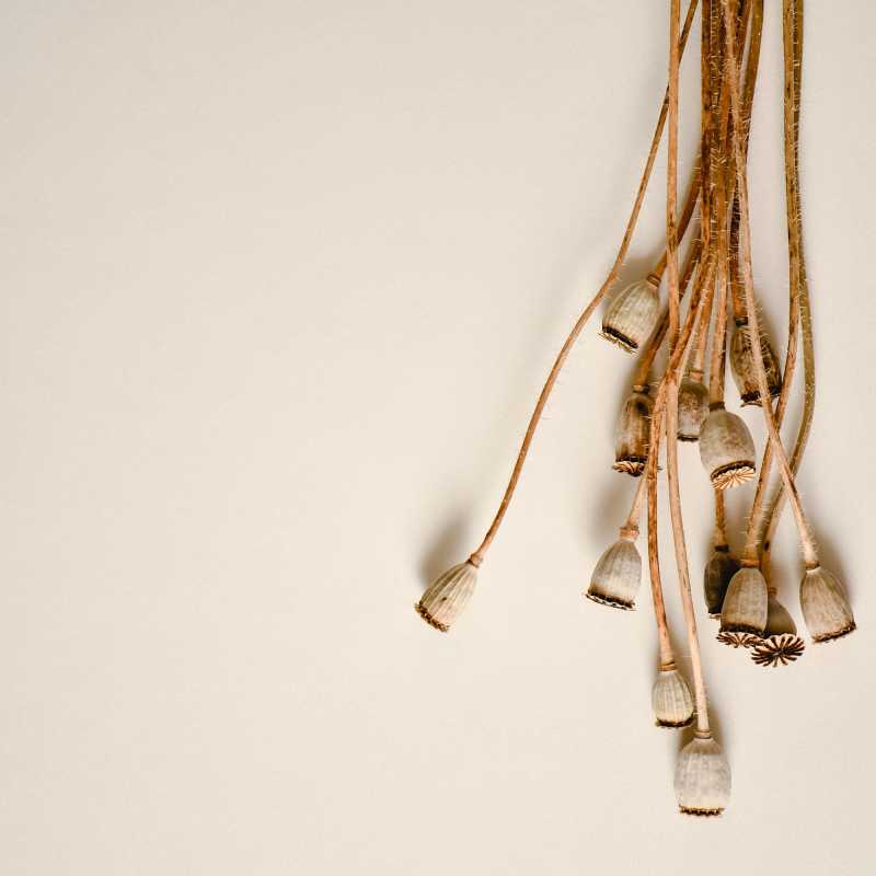 « Je ne veux pas tout avoir. Je veux autre chose.&nbsp;»