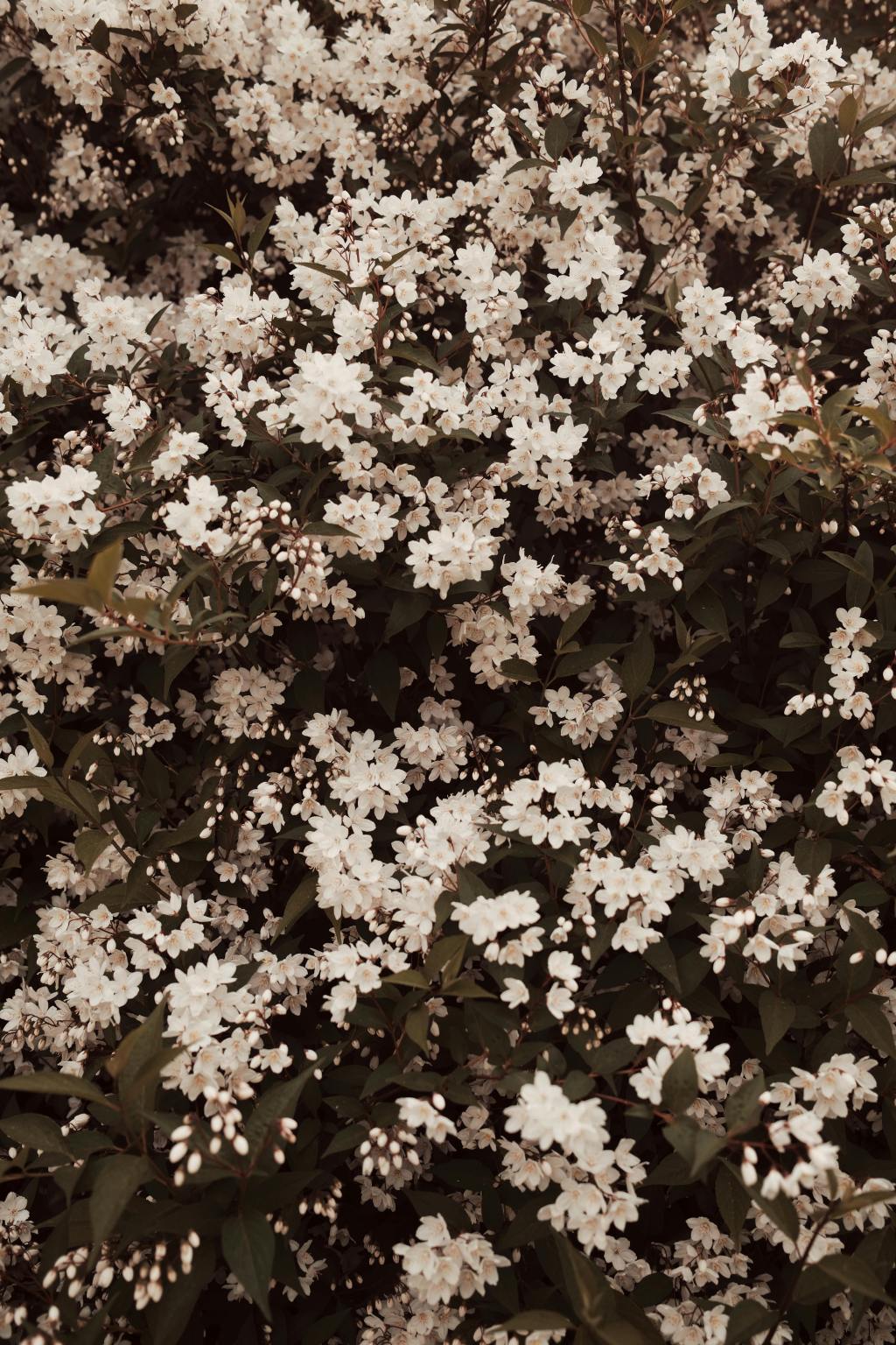 Being misunderstood doesn’t mean you're wrong. A gentle reminder for anyone choosing self-trust, emotional growth, and quiet alignment over people-pleasing.